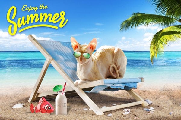 Frasier says enjoy the summer