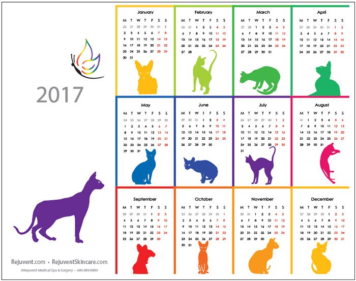 Download 2017 calendar