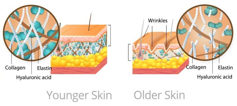 Younger skin vs. Older Skin