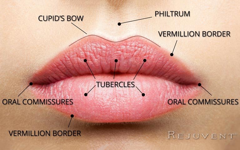 what happens to lips with aging