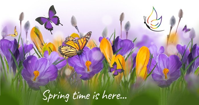Spring Time April Specials